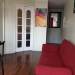 Bulnes Apartment